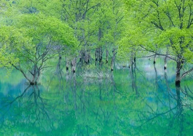 心静的人,心里都有一道最美丽的风景.