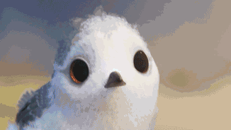 作为动画电影业的佼佼者,皮克斯公司制作出品的电影,向来都是品质与