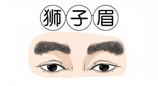 眉毛看命运:眉毛长这样的人善良讲诚信,事业有前途!你