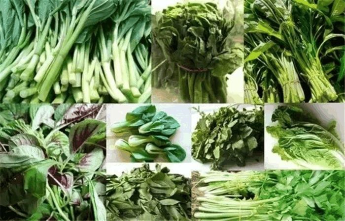 外国人分享中餐蔬菜种类