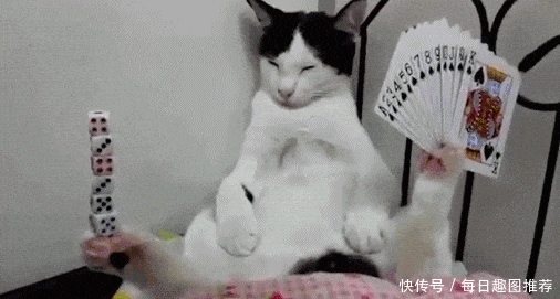 搞笑gif:上学时被老师罚抄作业时,这样做过的举个爪