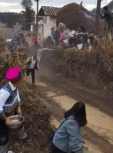 搞笑gif:大神女司机,停车位居然也可以自带一个