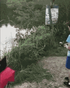 妹子高空欣赏风景还穿这么短的裙子, 这底下的风往上一吹, 那景色更