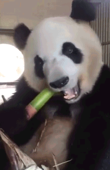 妹子不屑的眼神好像在说:活该你单身