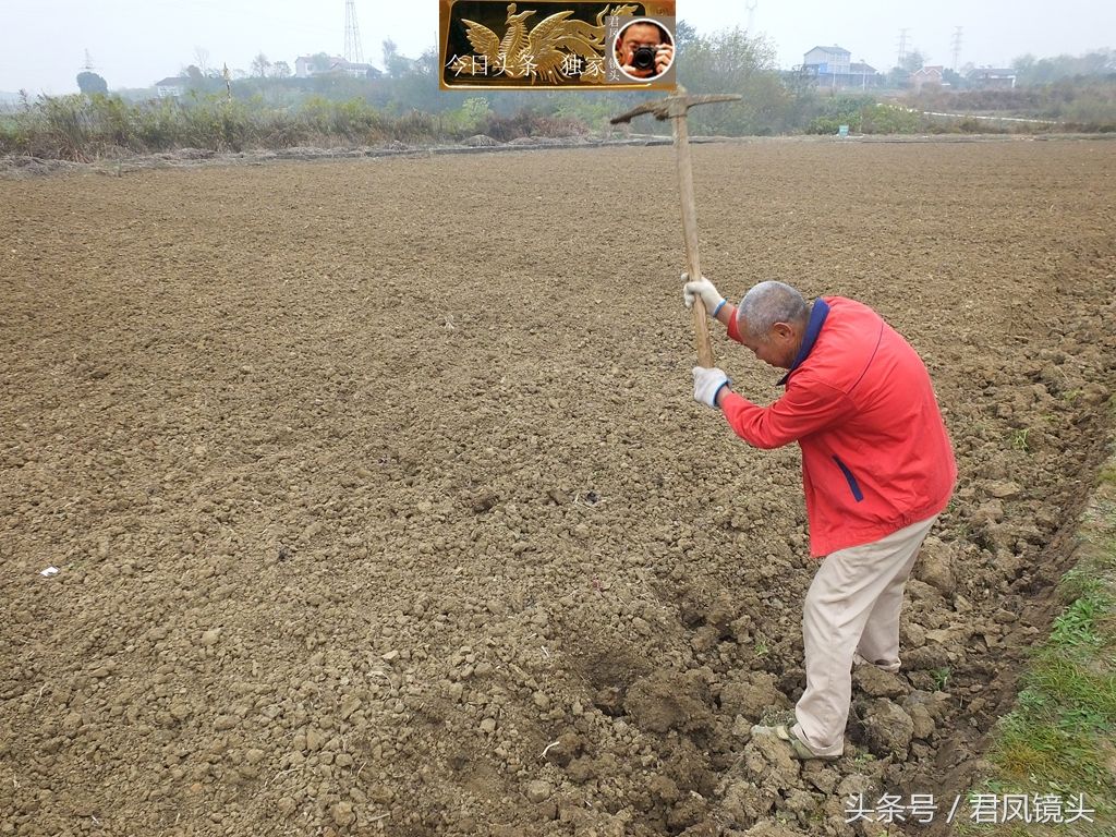 农民伯伯田胜强今年64岁.