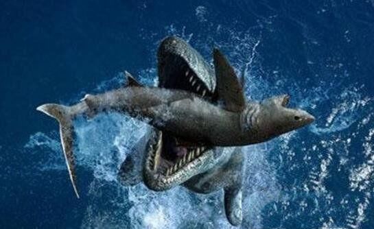 地球史上牙齿最长的鲨鱼,咬合力比霸王龙还大,是否还存活是个谜