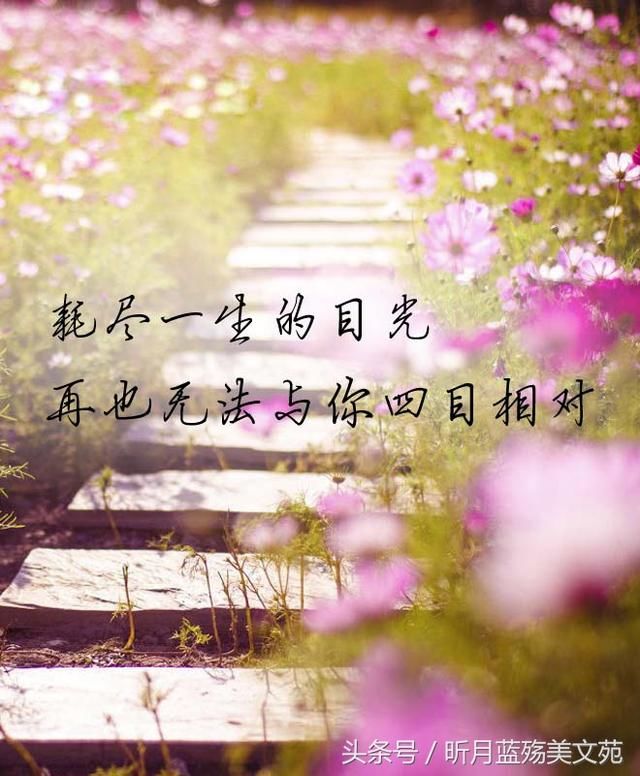 往日爱人难再见,只剩思念在心间