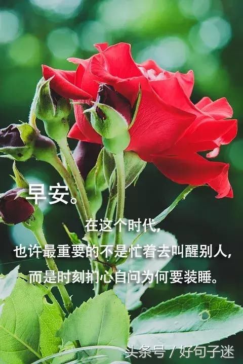 朋友圈经典早安励志心语 早安正能量图片分享
