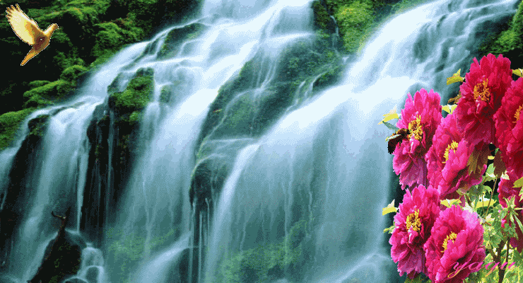 不懂规矩要吃亏,全家要这样吃!健康整个夏天!