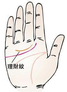 5,理财型 在手掌感情线上方有一条平行的纹叫做理财纹,手掌中有这种