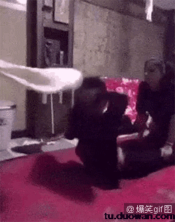 超搞笑gif:妹子你别激动,不就是得个奖么!不至于这样哈哈哈!