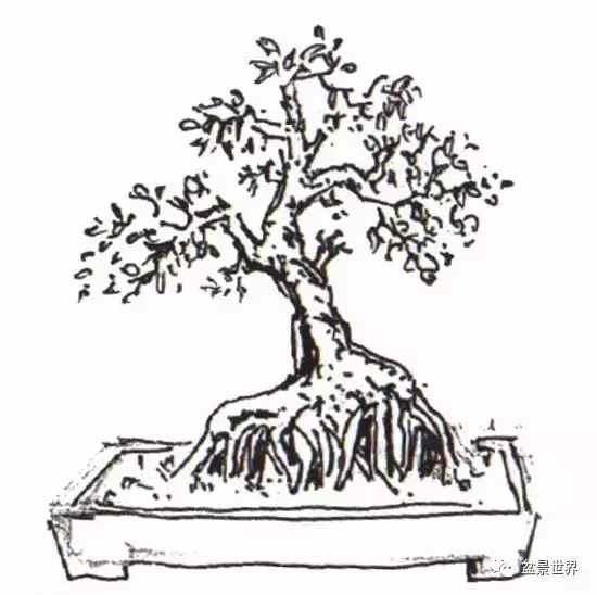 盆友干货, 岭南盆景造型大全, 还不赶紧收藏起来!