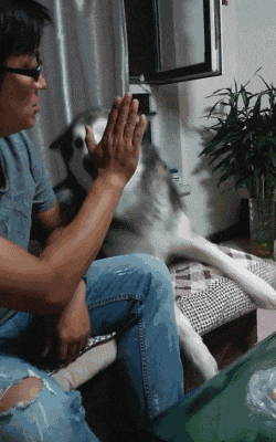 搞笑gif图:单身狗,活该你没有女朋友