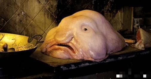 世界上最丑的一种鱼,被称为表情最忧伤的鱼!