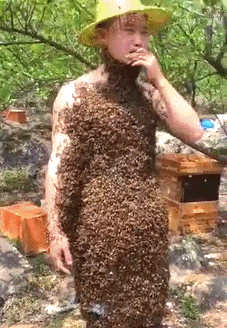 搞笑gif图片:好看的妹子千千万,孔武有力的女汉纸万里挑一