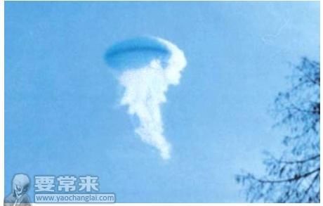 从大气生物来谈谈中国龙的起源,看了这个你还认为龙是