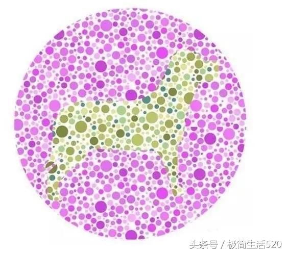 眼力测试:色弱还是色盲,试一下就知道!