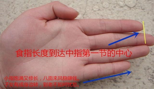 手相:从手指长短看谁好命一生,非富即贵,一起来看看你