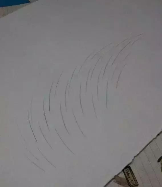 零基础素描入门,素描眉毛的画的画法!