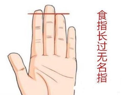 从手指的长度看命运吉凶,食指和无名指哪个长是福哪个