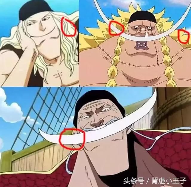 海贼王:白胡子二世与白胡子关系已揭晓,白胡子年轻时候曾透露过