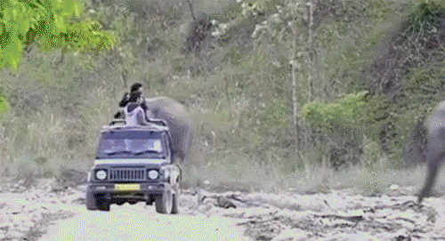 搞笑gif:妹子今天风确确实实有那么一点点大