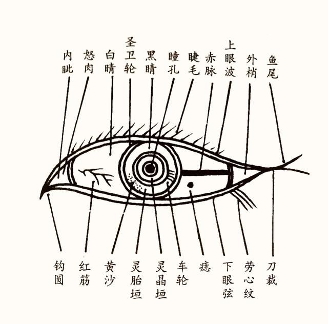 面相:女性的眼睛怎么看?