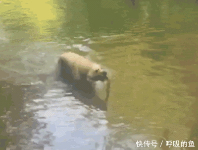 搞笑gif:要上台了没有镜子怎么办?姑娘太机智了