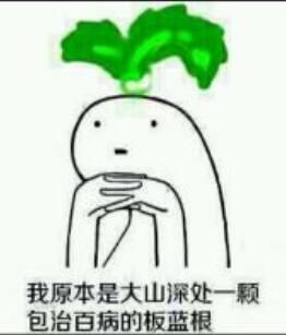 板蓝根落选卫计委最新流感诊疗方案 说好的包治百病呢