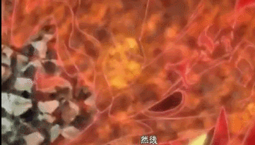 大蛇丸真的晓里垫底?对于火影大反派晓组织成员实力,有几大误区