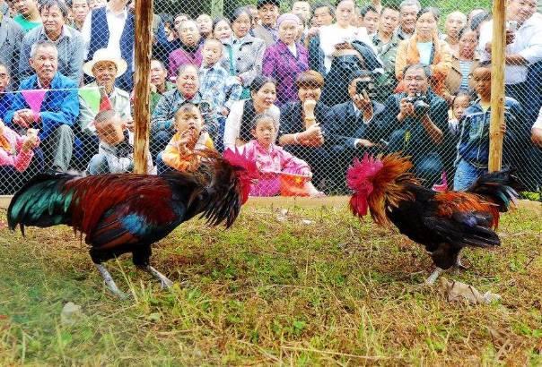 清明节的习俗你知道多少?