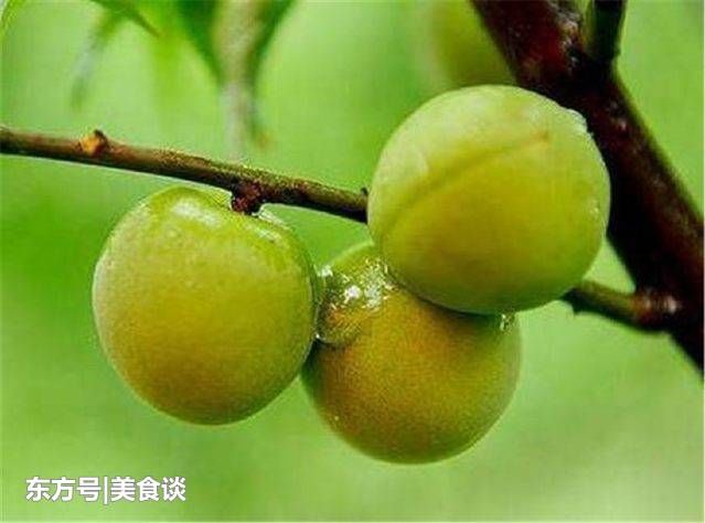 青梅,是产自海南的水果.