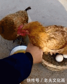 搞笑gif: 妹子们! 跳舞能带我一个吗?