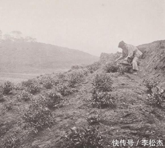 正在种地的农民,再热也要下地里.