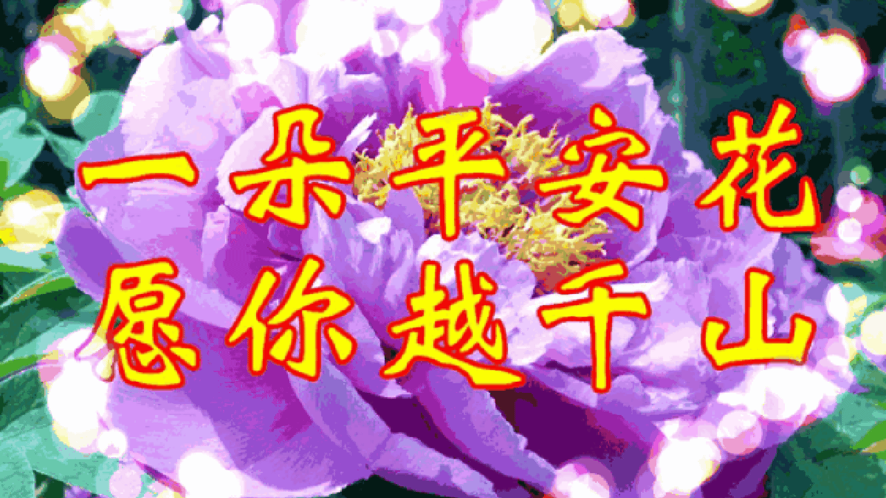 送你一朵平安花,愿你 一生平安.
