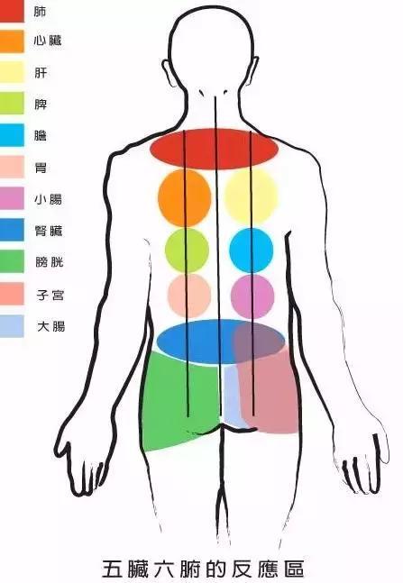 艾灸后背,人活百岁!如此艾灸最好(想长寿的一定要看)