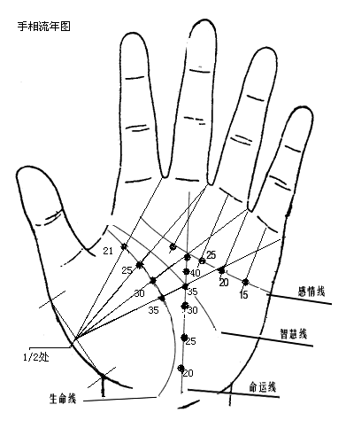 一生运势尽在手相上