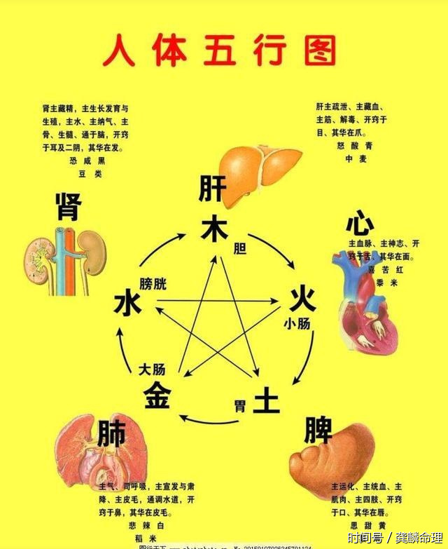 食神旺了怎么办?