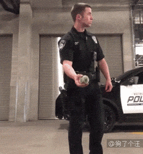 老实交代,你是不是外面有狗了! 耙耳朵? 心疼汪就是心疼你自己 3.