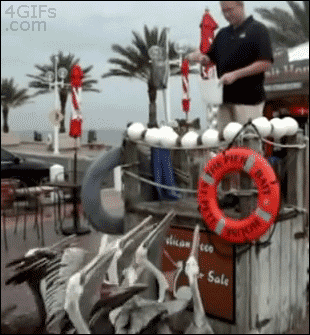 大王爆笑gif趣图:都给我闪远点,牛魔王要起飞了