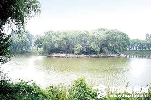 蒙城北淝河湿地公园获批"国家级"