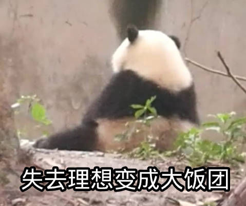 无水印大熊猫表情包 什么都瞒不过我沧桑的小眼睛