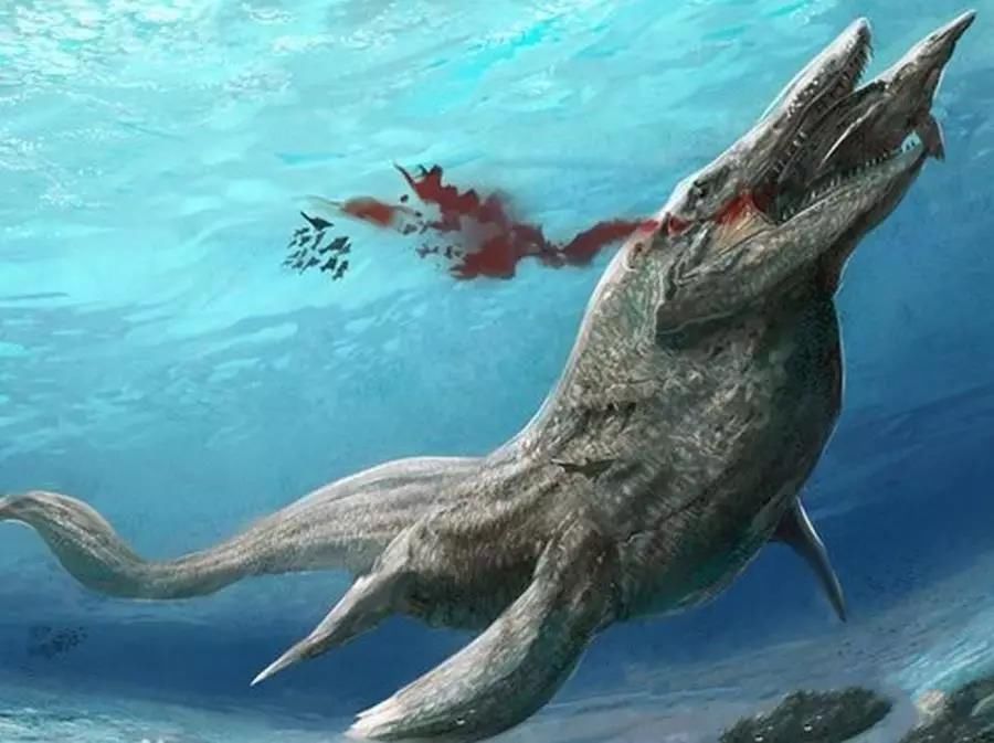 盘点当年称霸世界的九大史前海洋巨兽,恐龙都只有被"虐"的份!