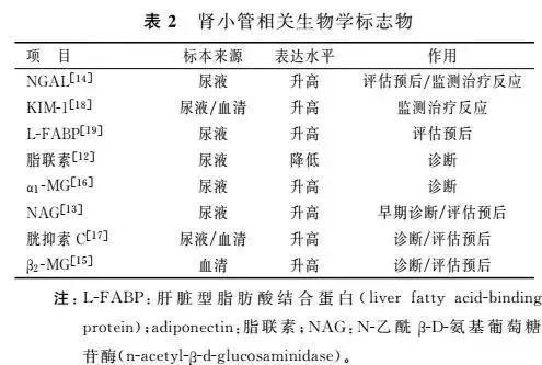 专家论坛糖尿病肾病诊断及预后生物学标志物的研究现状及展望