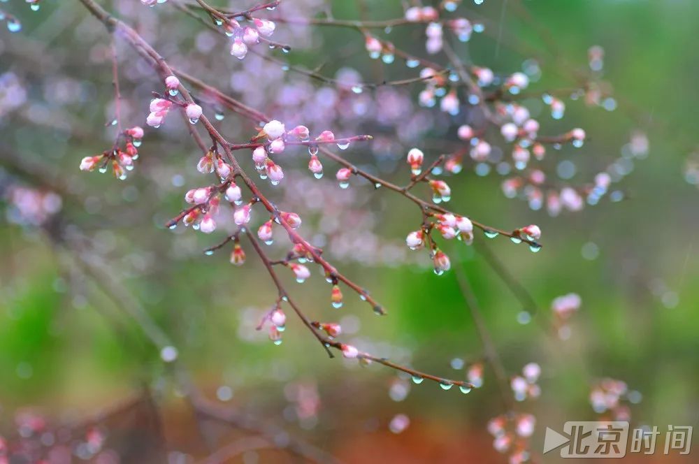 "好雨知时节,当春乃发生随风潜入夜,润物细无声"