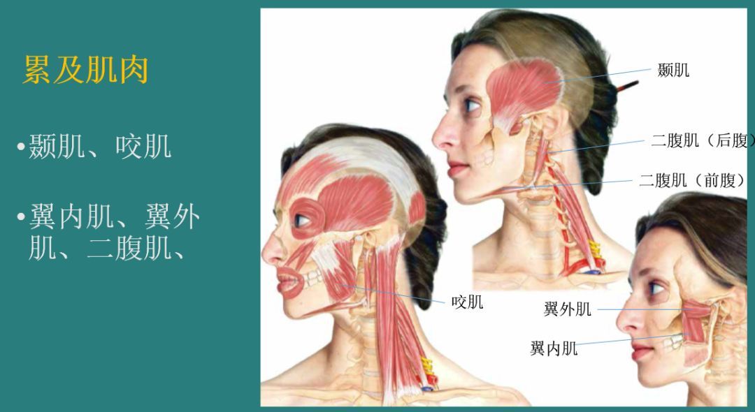 我一张嘴左边腮帮子有骨头响,还疼,说是什么错乱,我只