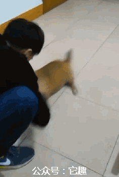 搞笑gif图:结婚愣是搞出了捉奸现场的效果!