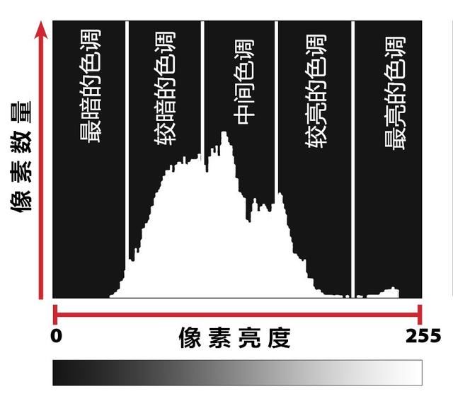 从零开始学摄影4:读懂相机直方图是实现正确曝光的最简单方法 !
