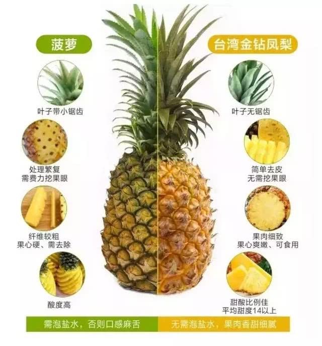 来自台湾的金钻凤梨,跟菠萝长的差不多,为什么比菠萝贵两三倍?