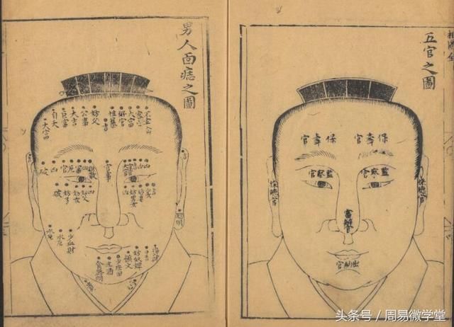 麻衣神相之看图学面相,通过看脑袋断何种面相,马云属于哪种面相呢